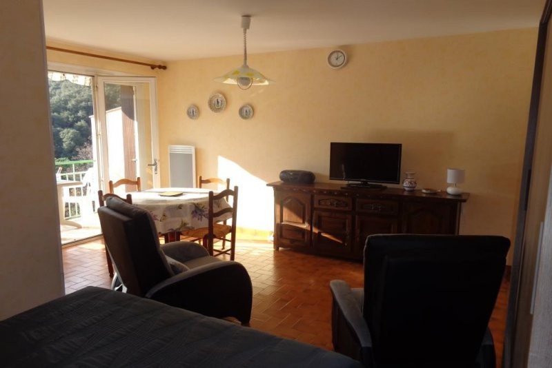 Location Appartement à Amélie-les-Bains-Palalda 1 pièce