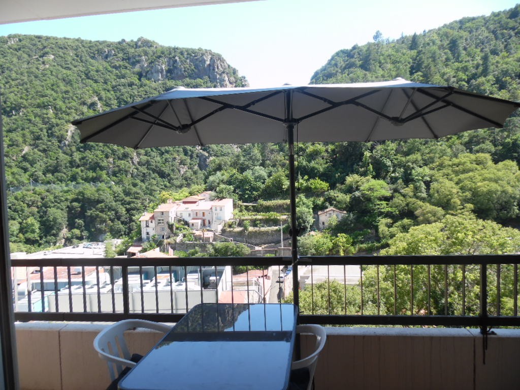 Location Appartement à Amélie-les-Bains-Palalda 1 pièce