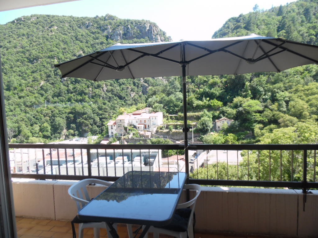 Location Appartement à Amélie-les-Bains-Palalda 1 pièce