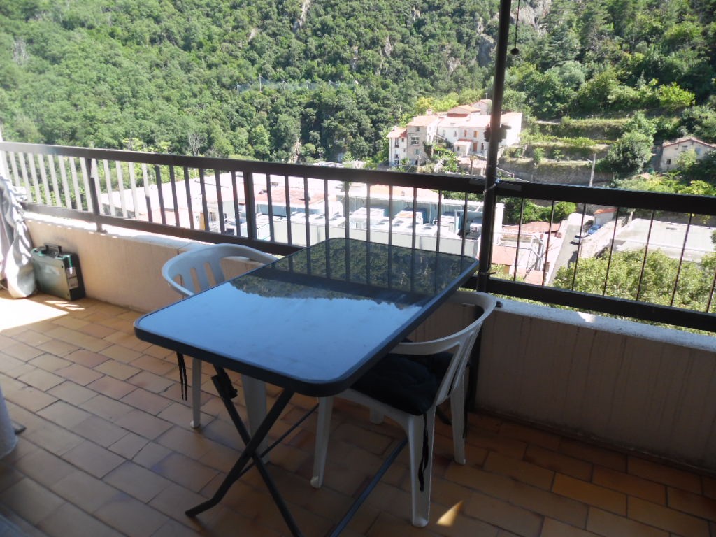 Location Appartement à Amélie-les-Bains-Palalda 1 pièce