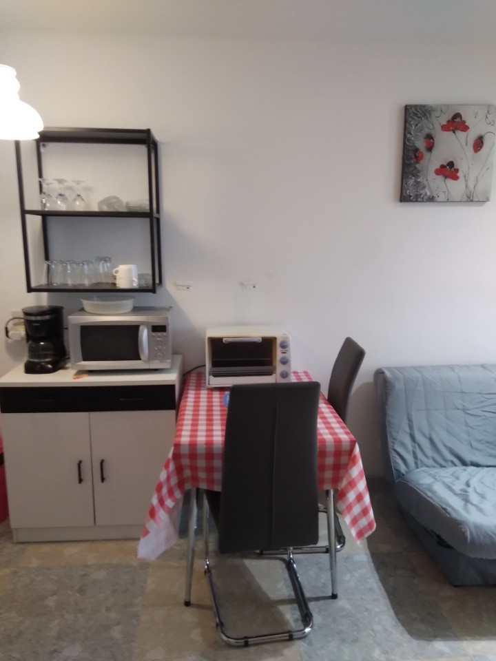 Location Appartement à Amélie-les-Bains-Palalda 1 pièce