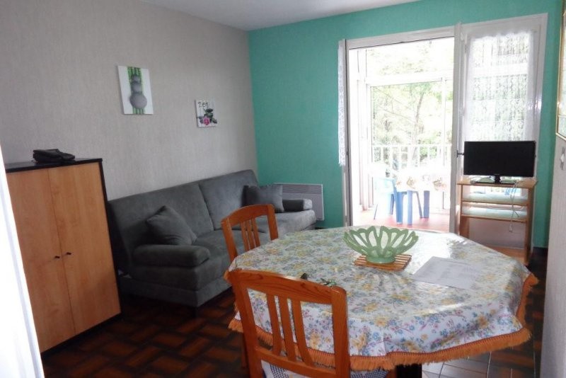 Location Appartement à Amélie-les-Bains-Palalda 1 pièce