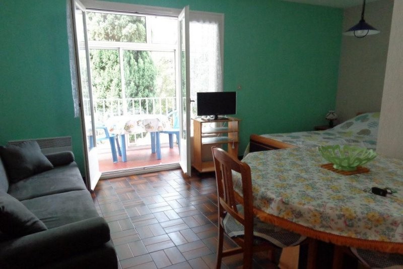 Location Appartement à Amélie-les-Bains-Palalda 1 pièce