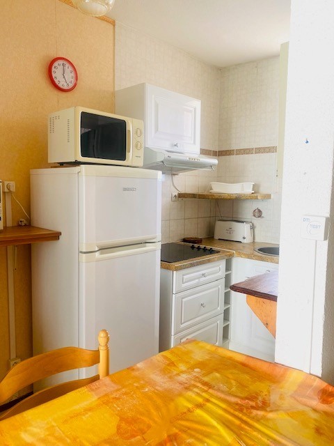 Location Appartement à Amélie-les-Bains-Palalda 1 pièce