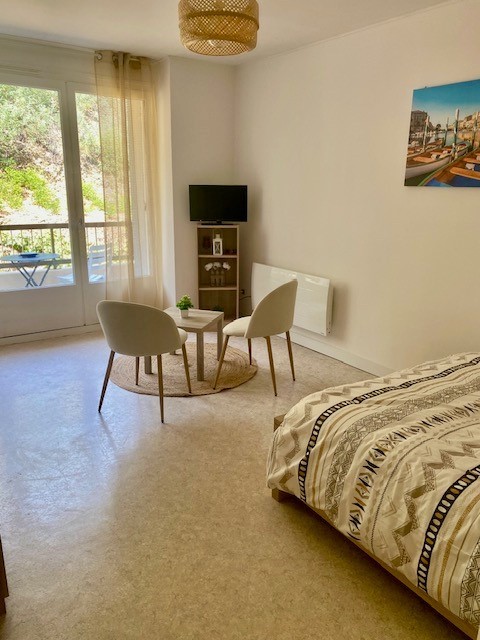 Location Appartement à Amélie-les-Bains-Palalda 1 pièce