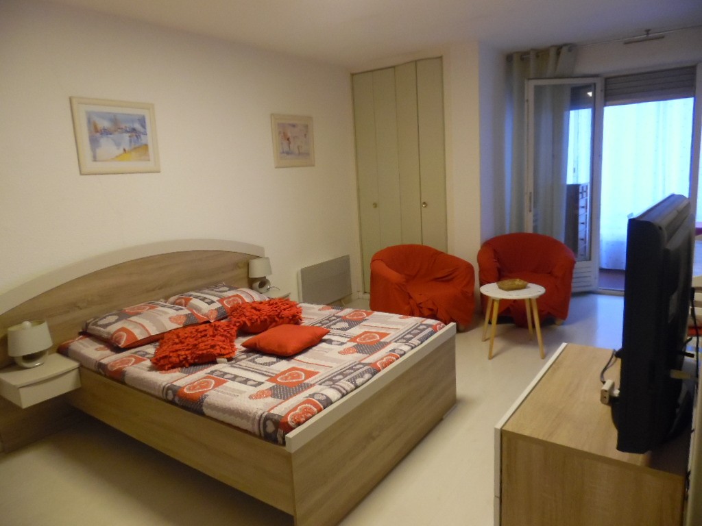 Location Appartement à Amélie-les-Bains-Palalda 1 pièce