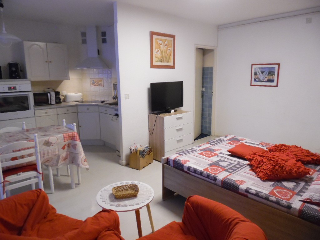 Location Appartement à Amélie-les-Bains-Palalda 1 pièce