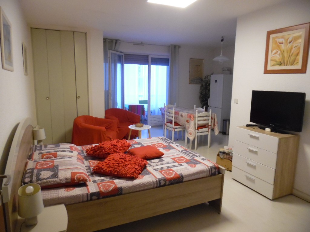 Location Appartement à Amélie-les-Bains-Palalda 1 pièce