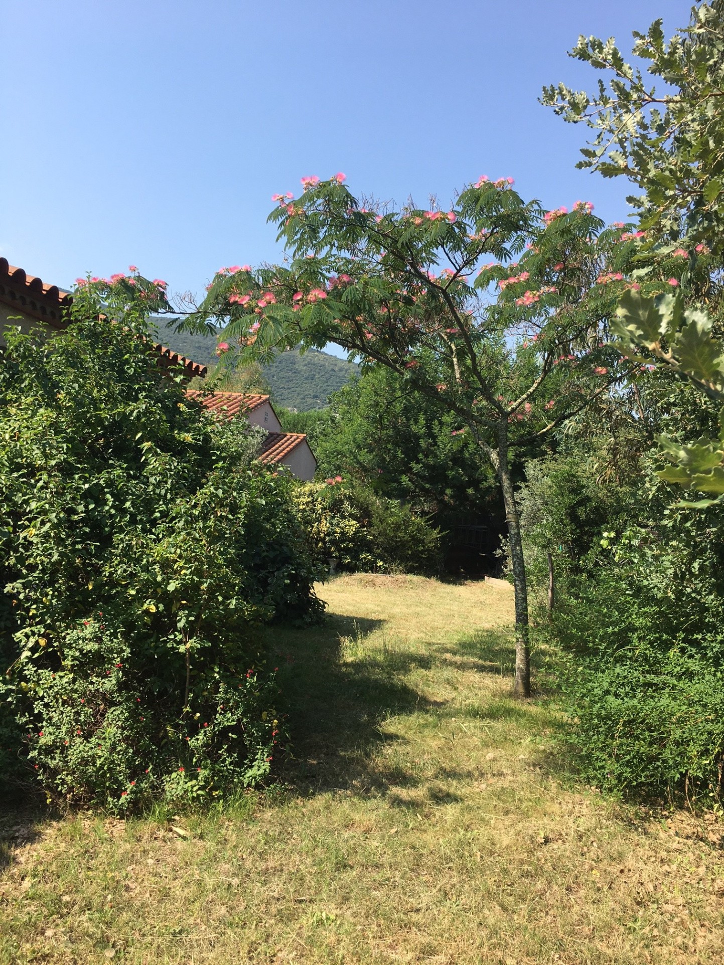 Location Maison à Céret 4 pièces