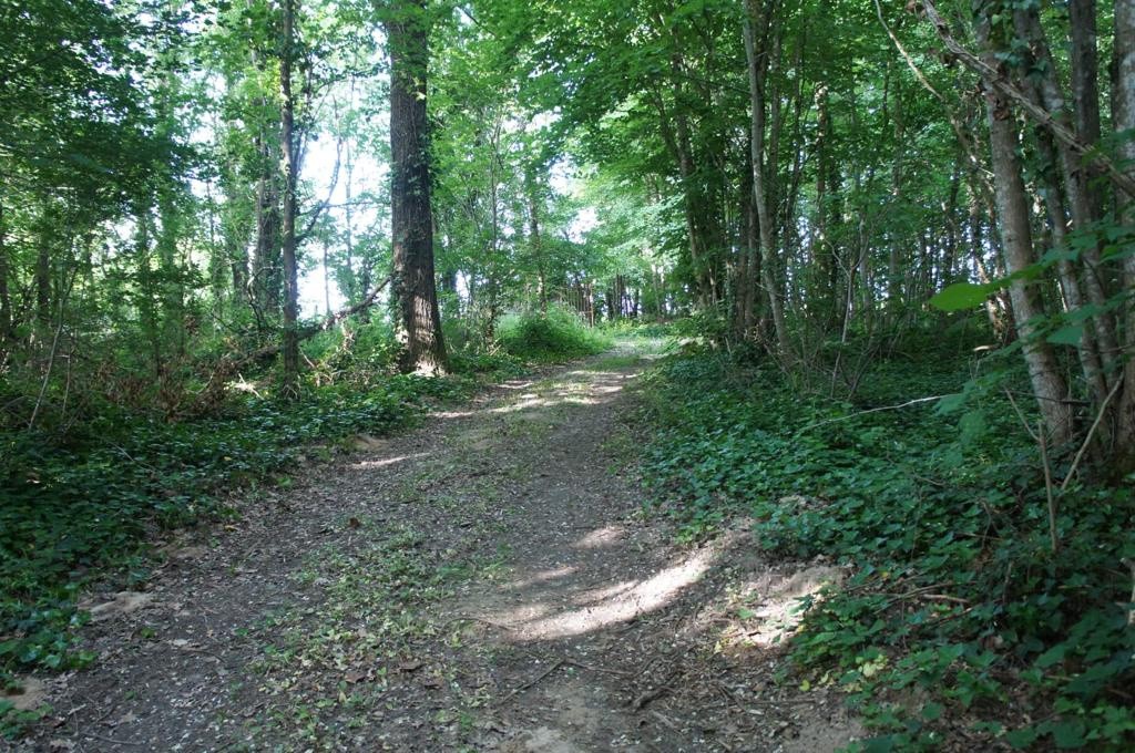 Vente Maison à Sainte-Maure-de-Touraine 12 pièces