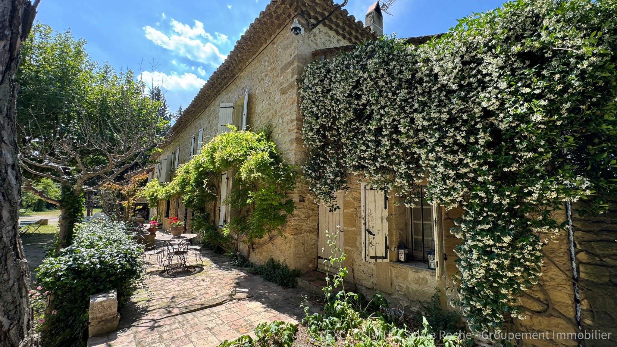 Vente Maison à Caderousse 11 pièces