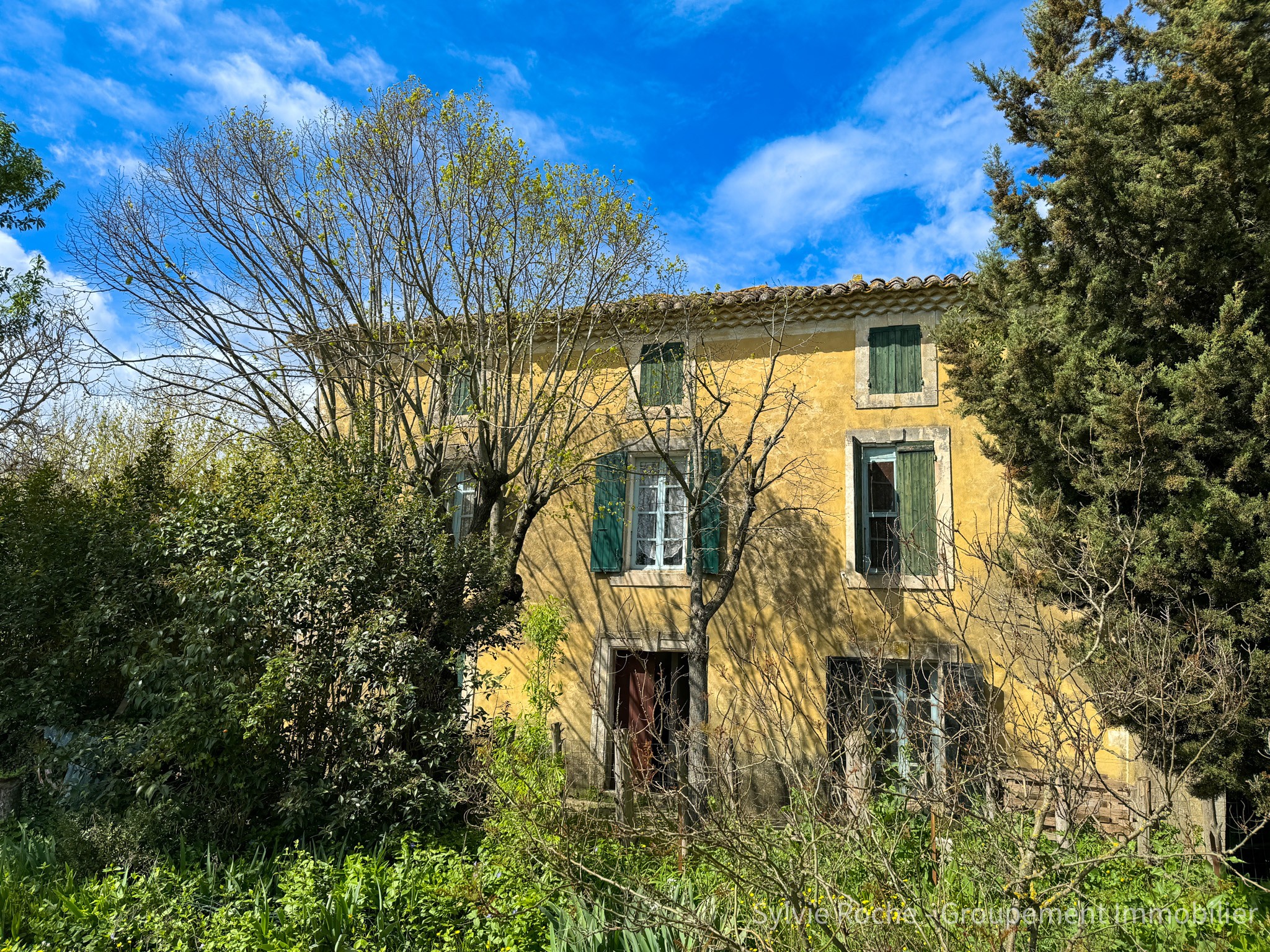 Vente Maison à Caderousse 8 pièces