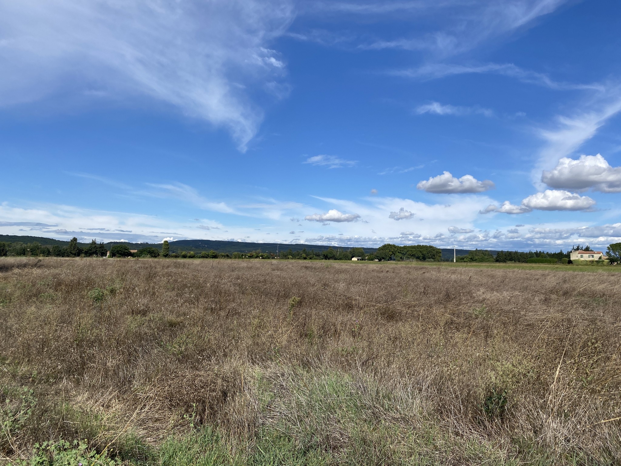 Vente Terrain à Piolenc 0 pièce