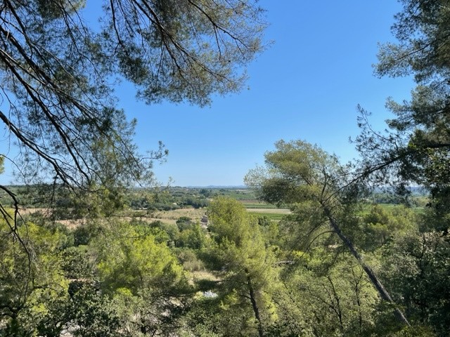 Vente Maison à Pézenas 5 pièces