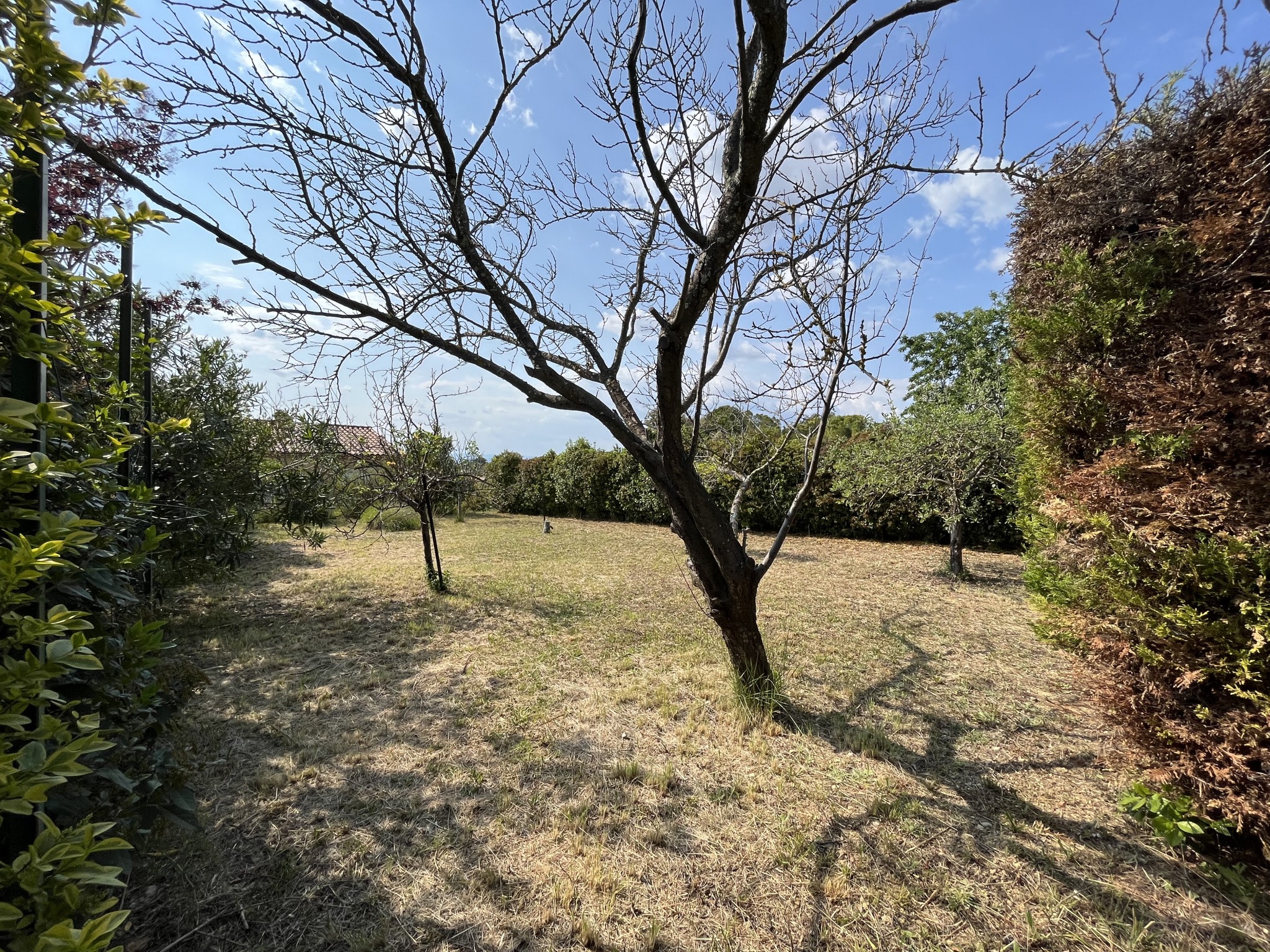 Vente Maison à Gignac 5 pièces