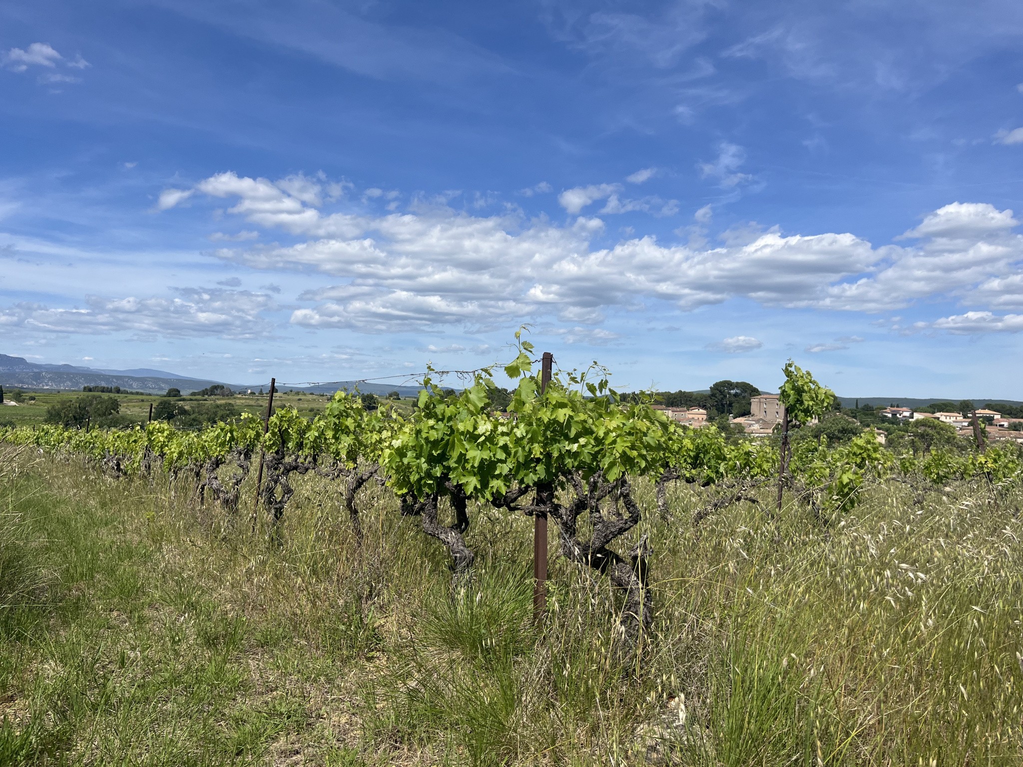 Vente Terrain à Gignac 0 pièce