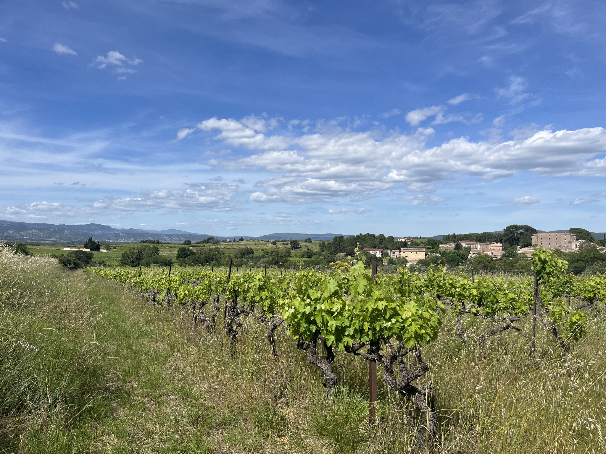 Vente Terrain à Gignac 0 pièce