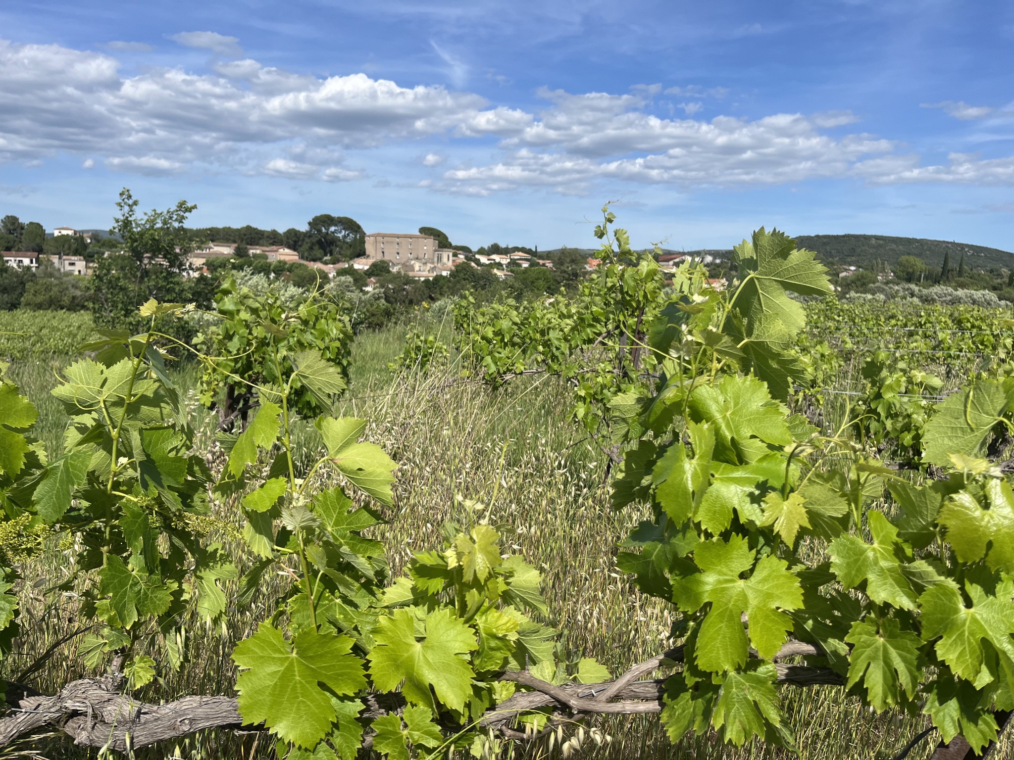 Vente Terrain à Gignac 0 pièce