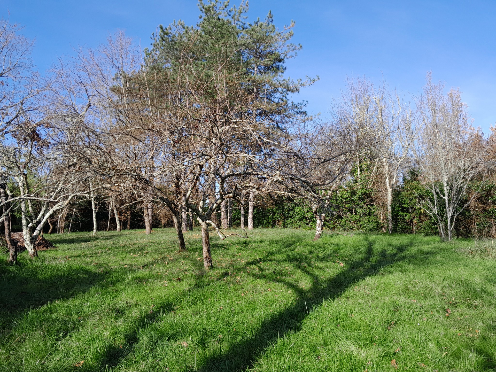 Vente Maison à Moissac 6 pièces