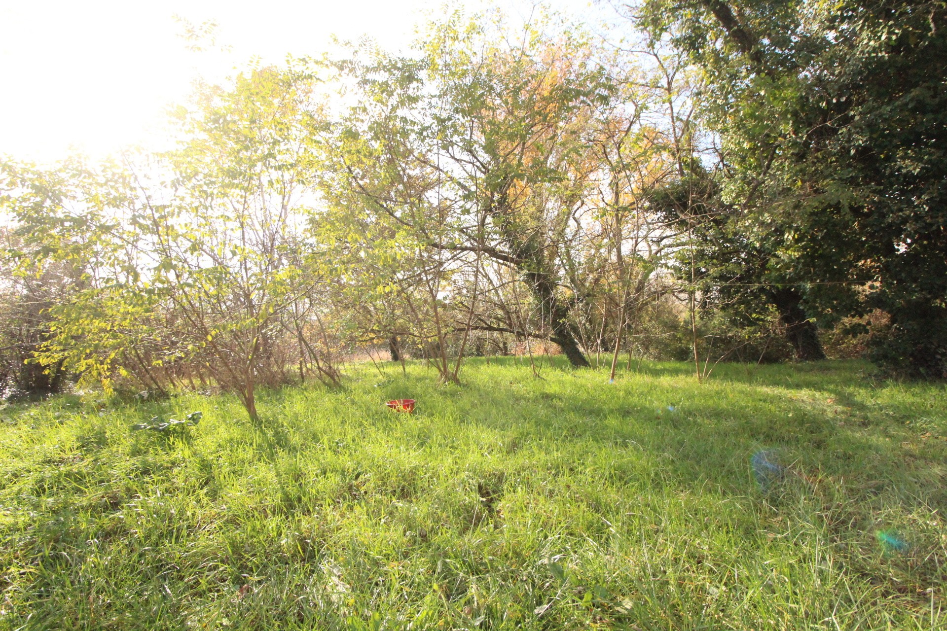 Vente Maison à Montauban 5 pièces