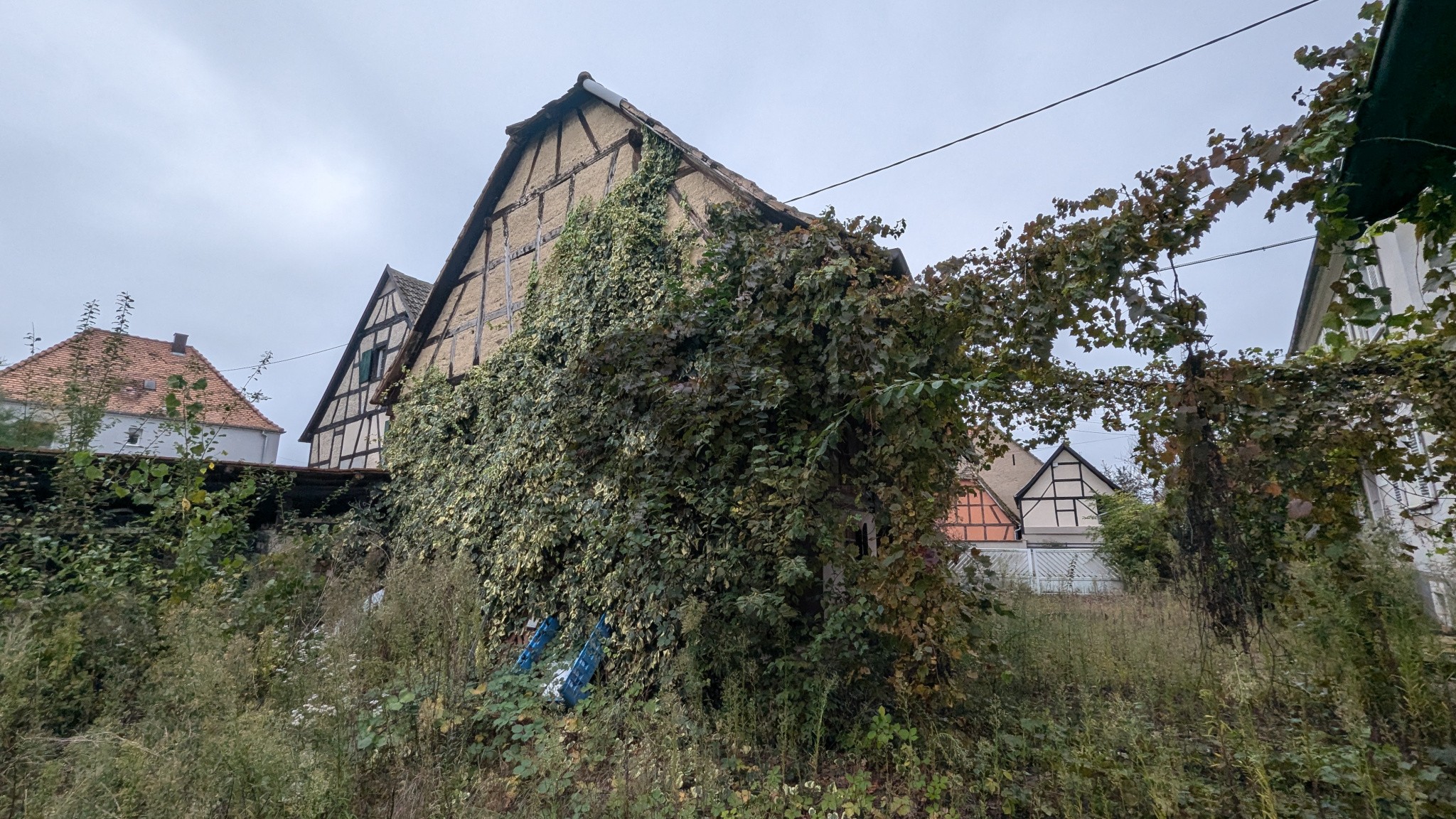 Vente Maison à Jebsheim 1 pièce