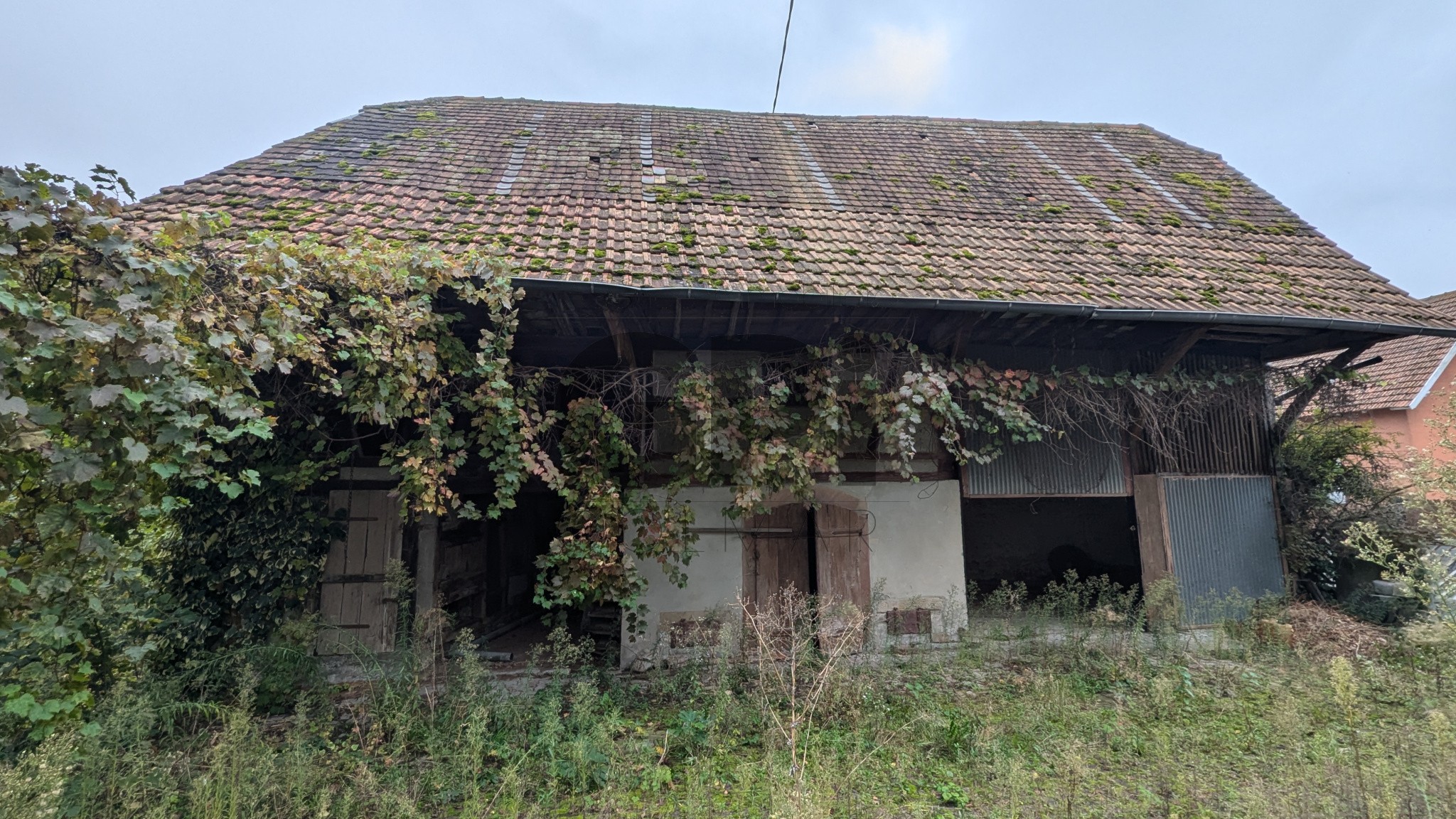 Vente Maison à Jebsheim 10 pièces