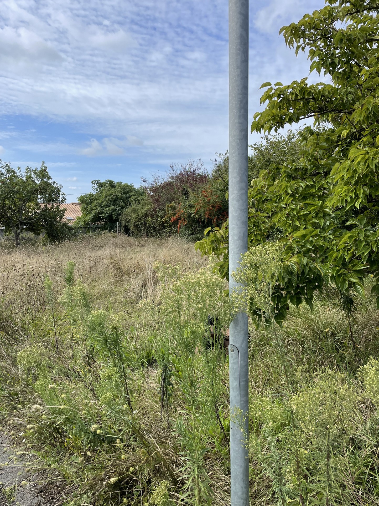 Vente Bureau / Commerce à le Taillan-Médoc 1 pièce