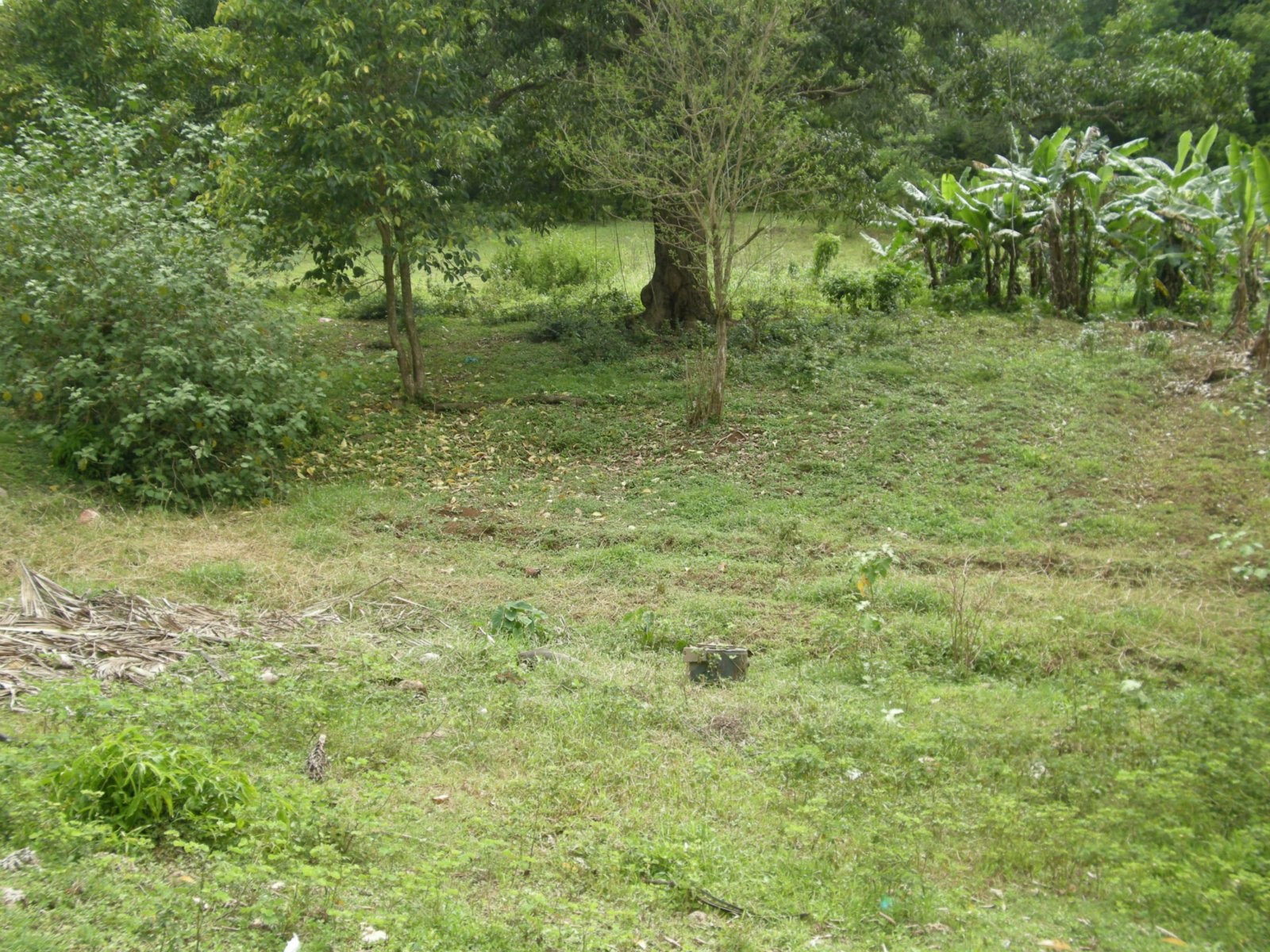 Vente Terrain à les Abymes 0 pièce