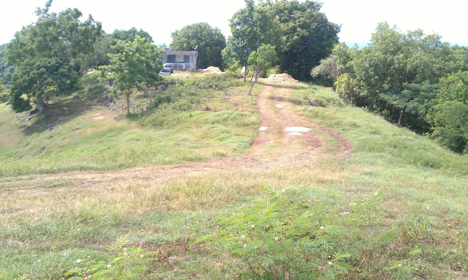 Vente Terrain à les Abymes 0 pièce