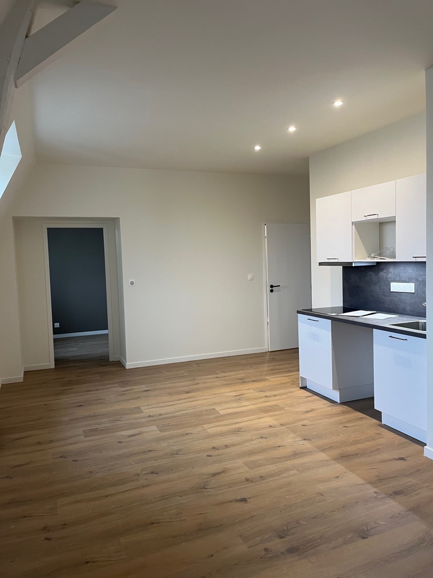 Location Appartement à Laval 3 pièces