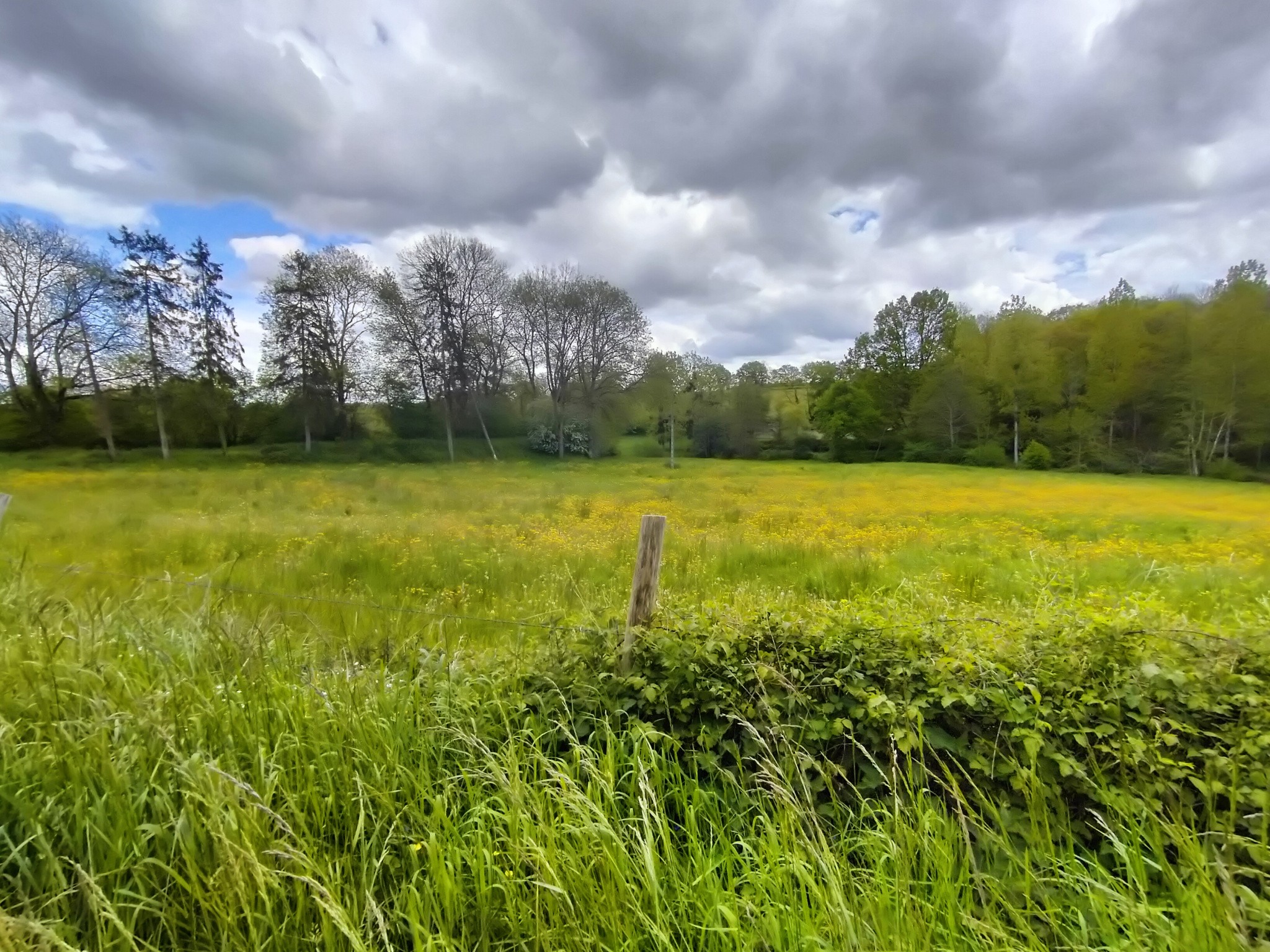 Vente Maison à Parné-sur-Roc 6 pièces