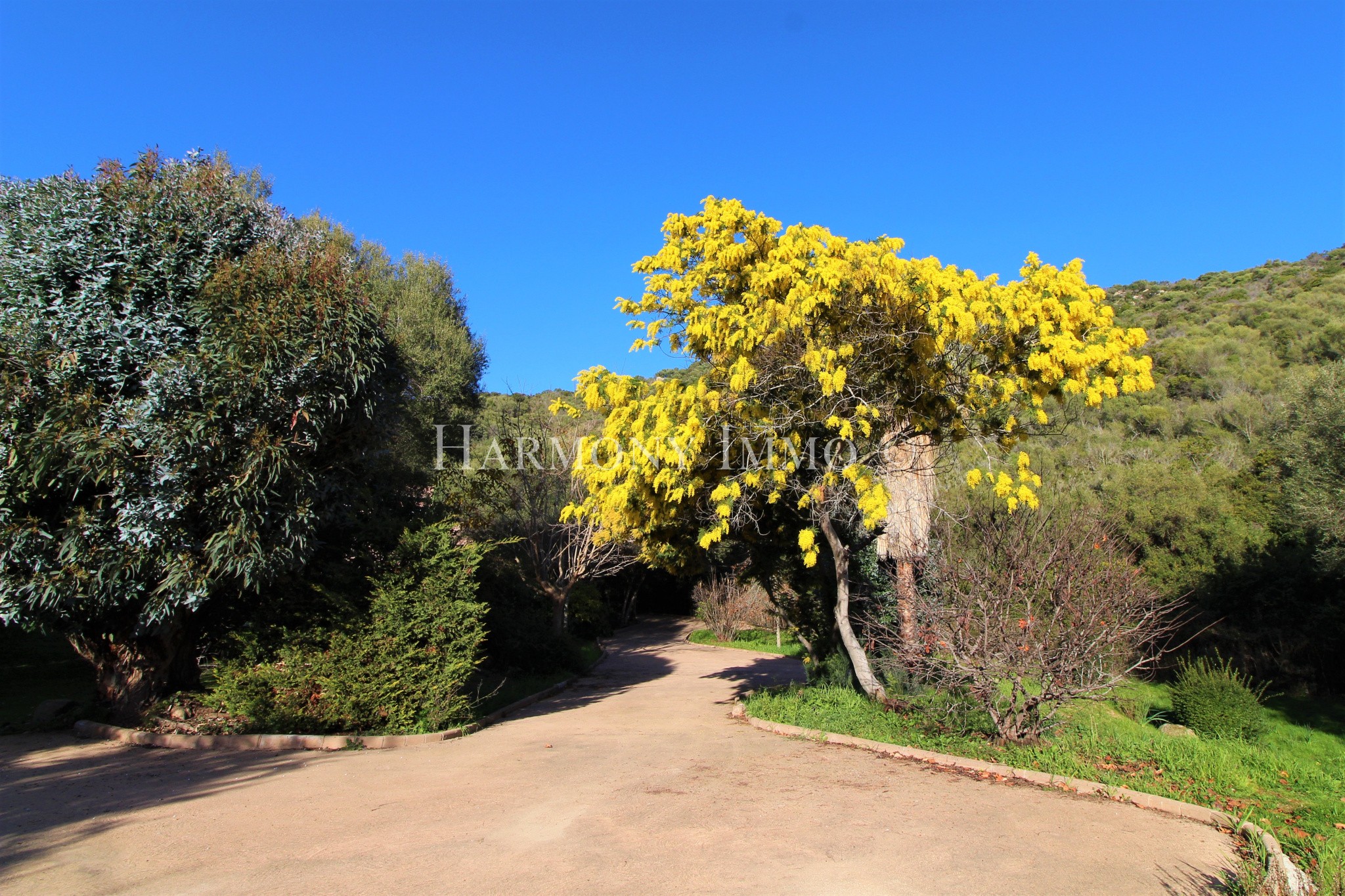 Vente Maison à Casaglione 5 pièces