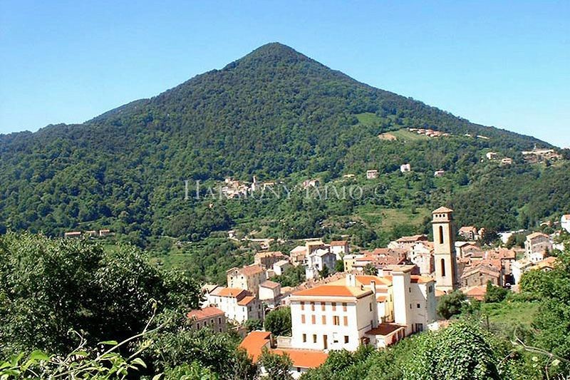 Vente Terrain à Vico 0 pièce