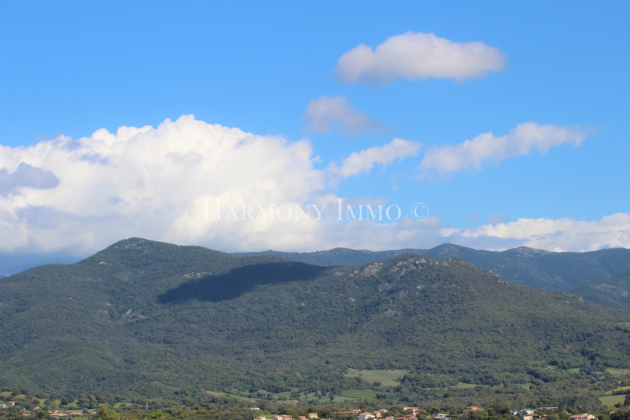 Vente Terrain à Bastelicaccia 0 pièce