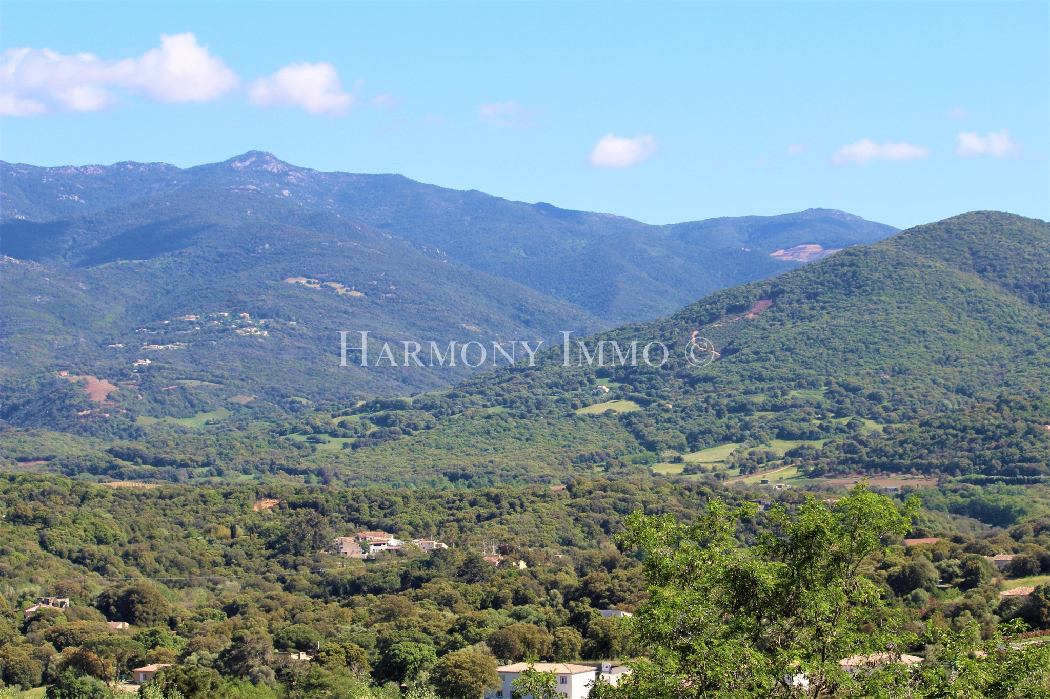 Vente Terrain à Bastelicaccia 0 pièce