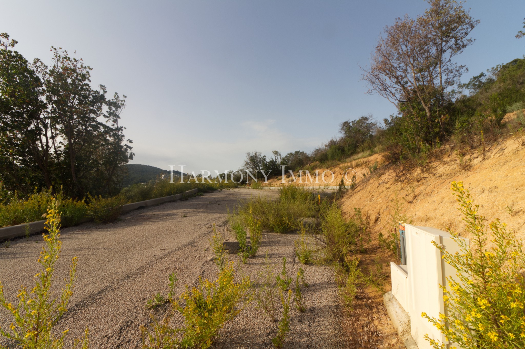 Vente Terrain à Pietrosella 0 pièce