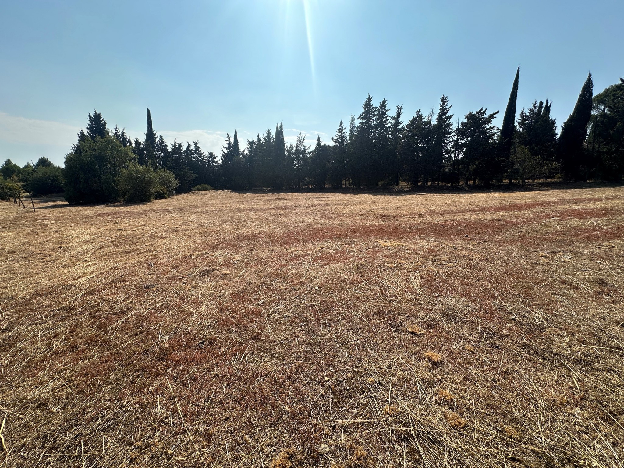 Vente Terrain à Villemoustaussou 0 pièce