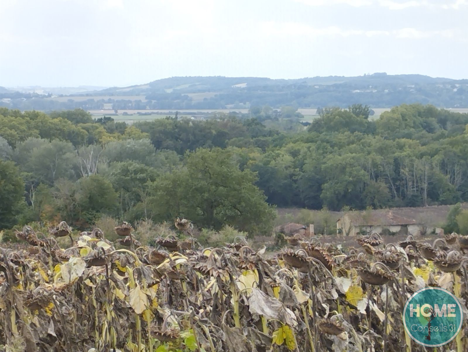 Vente Terrain à Auterive 0 pièce