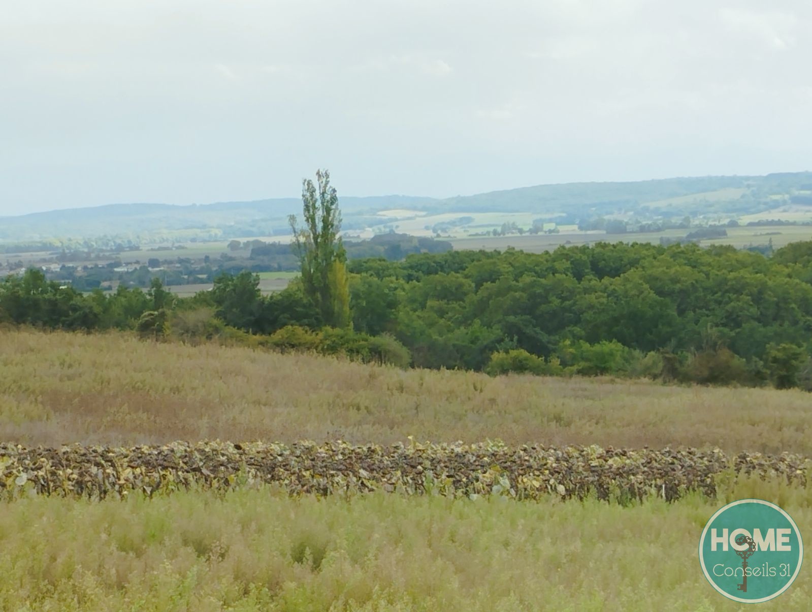 Vente Terrain à Auterive 0 pièce