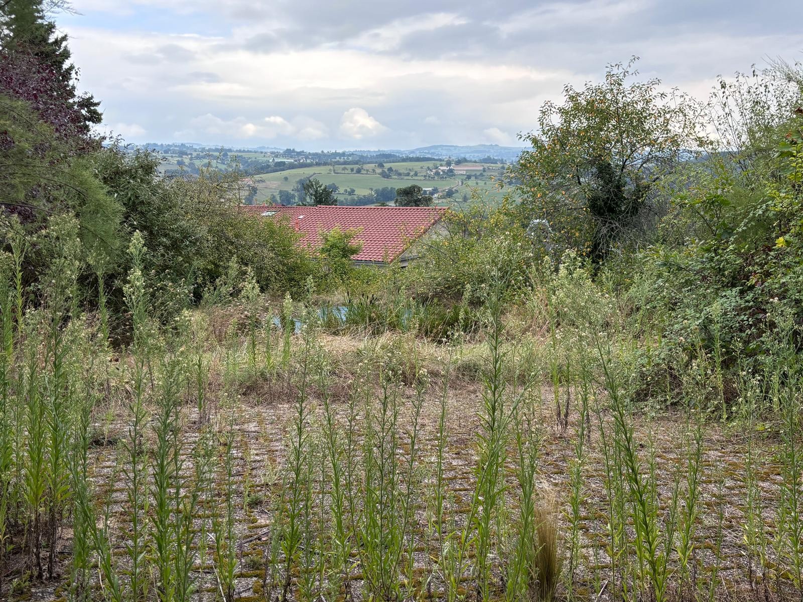 Vente Maison à Saint-Galmier 7 pièces