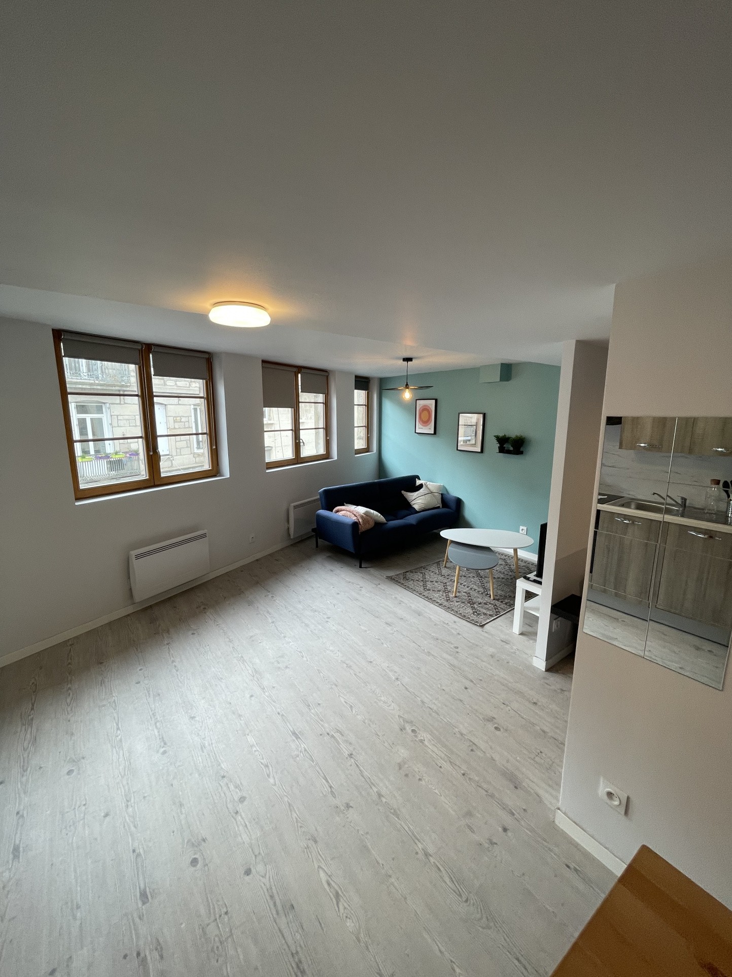 Location Appartement à Saint-Étienne 1 pièce