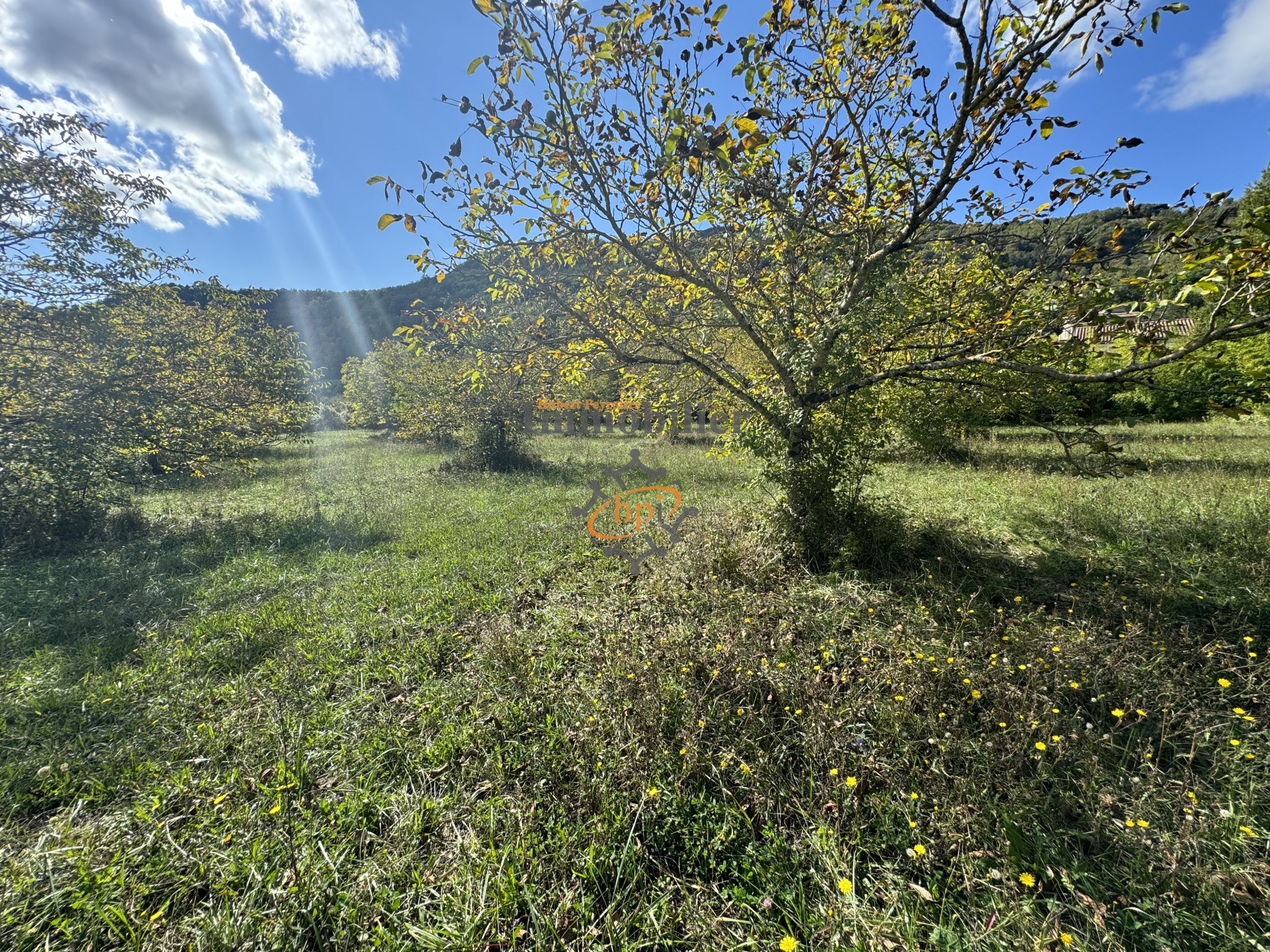 Vente Terrain à Saint-Affrique 0 pièce