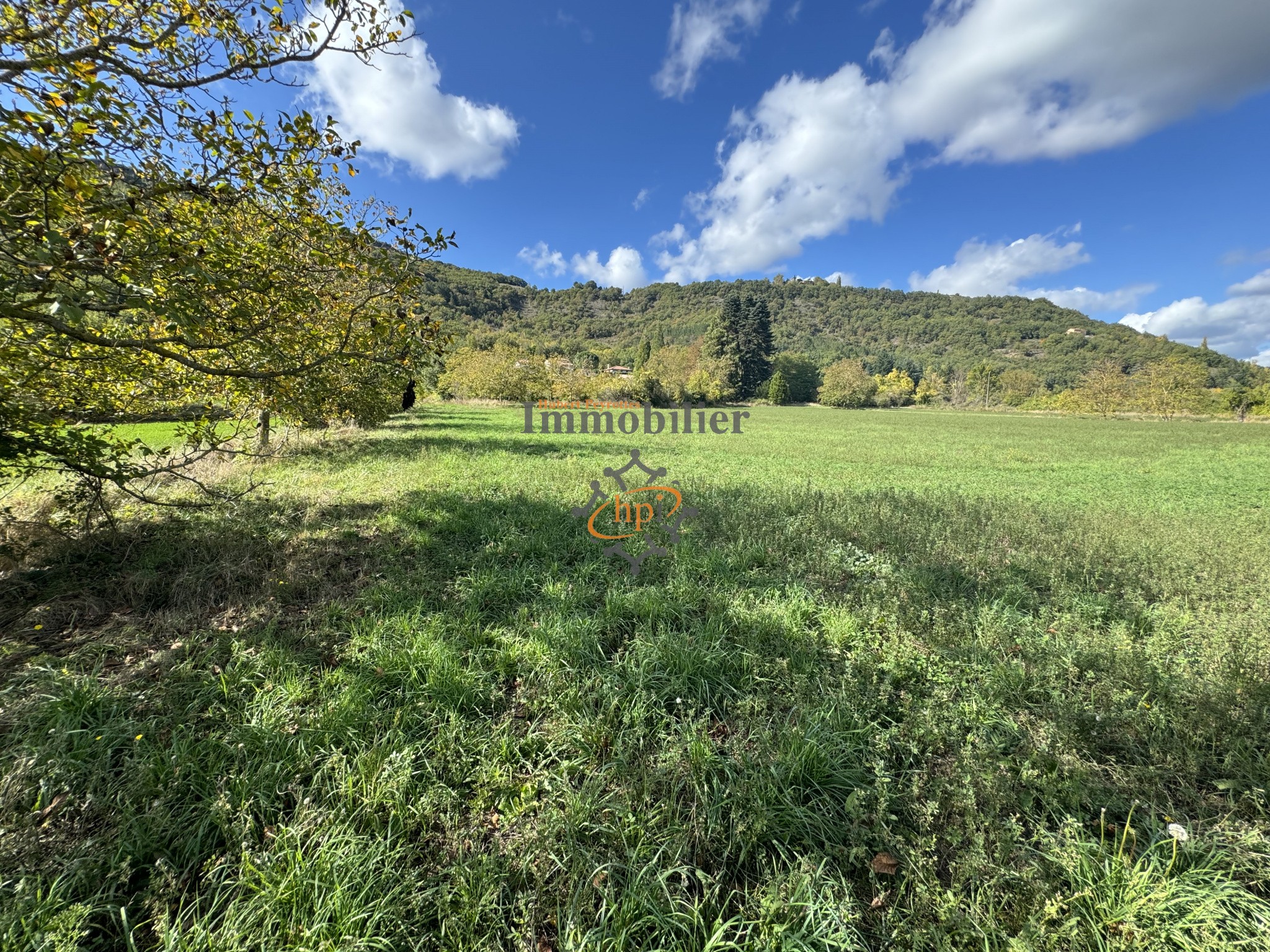 Vente Terrain à Saint-Affrique 0 pièce