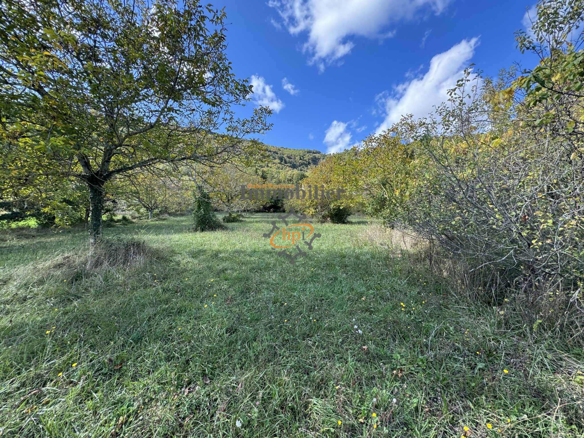 Vente Terrain à Saint-Affrique 0 pièce