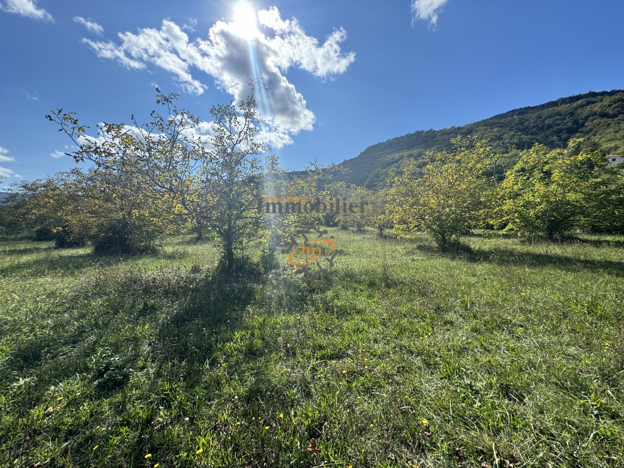 Vente Terrain à Saint-Affrique 0 pièce