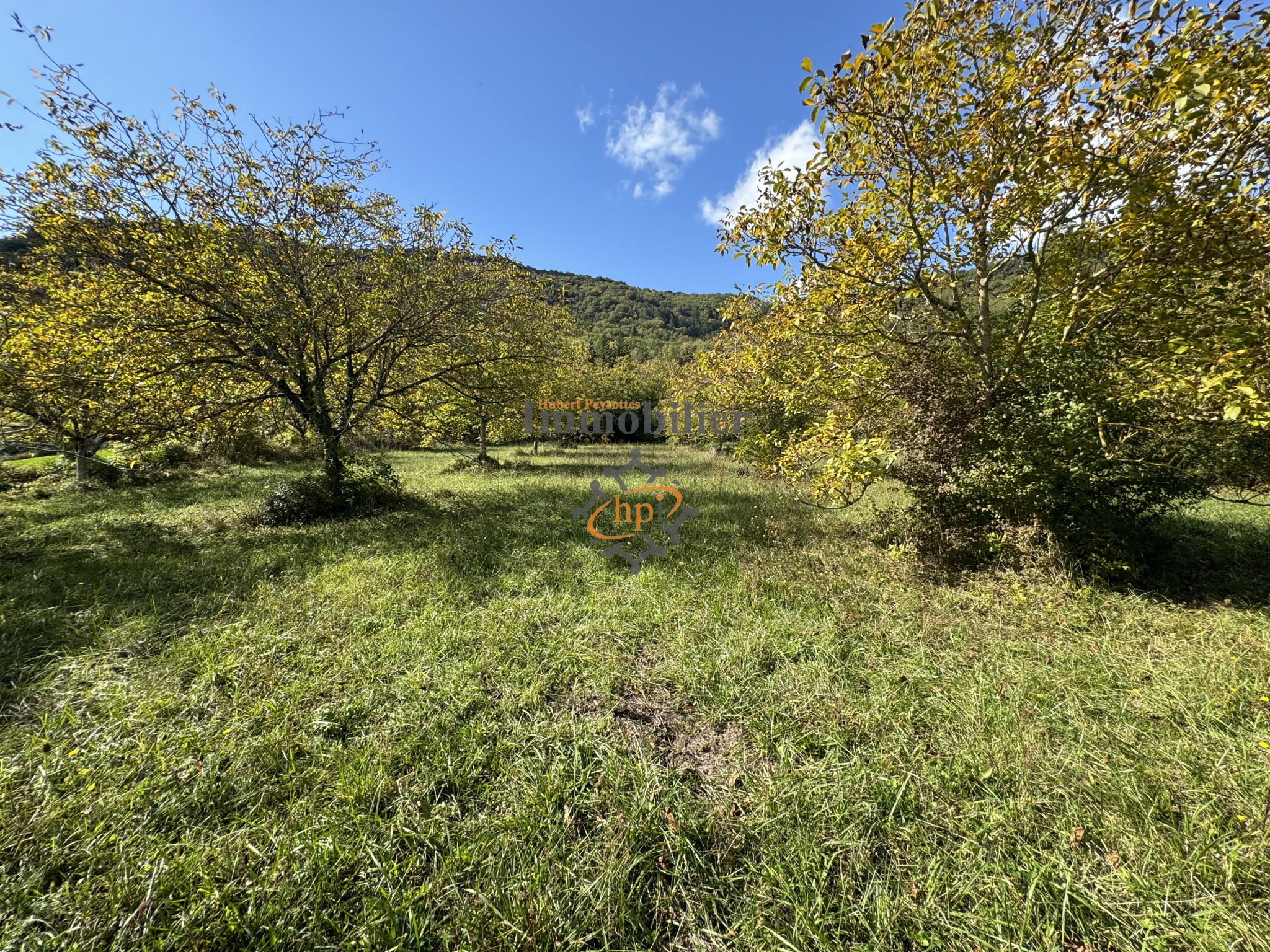 Vente Terrain à Saint-Affrique 0 pièce