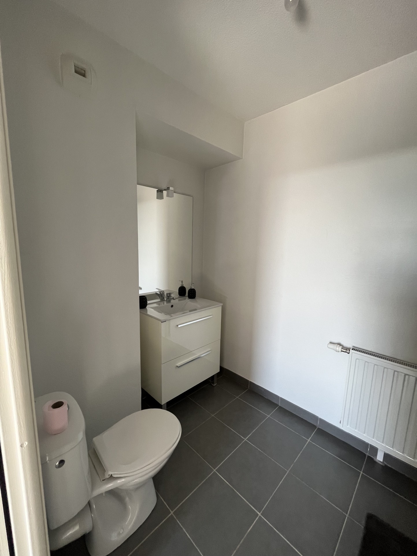 Location Appartement à Toulouse 2 pièces