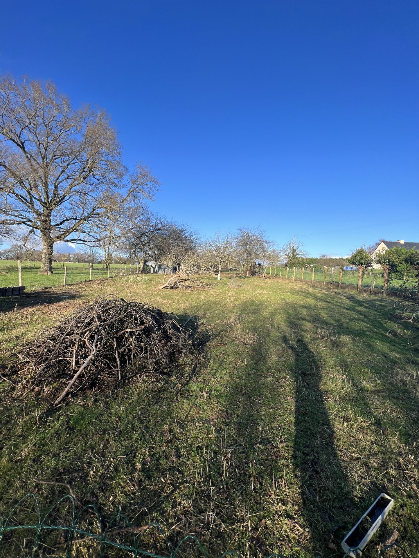 Vente Maison à Conquereuil 6 pièces