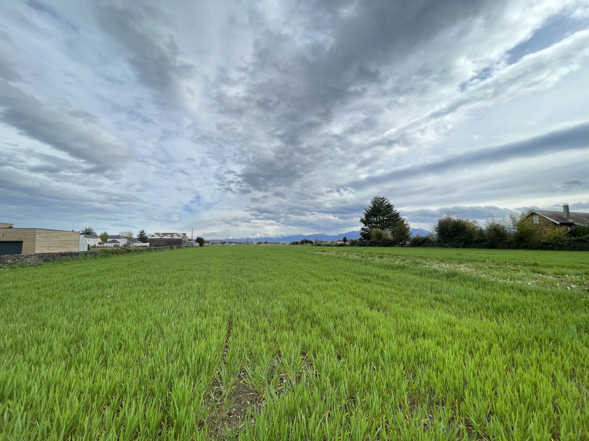 Vente Terrain à Bordes 0 pièce