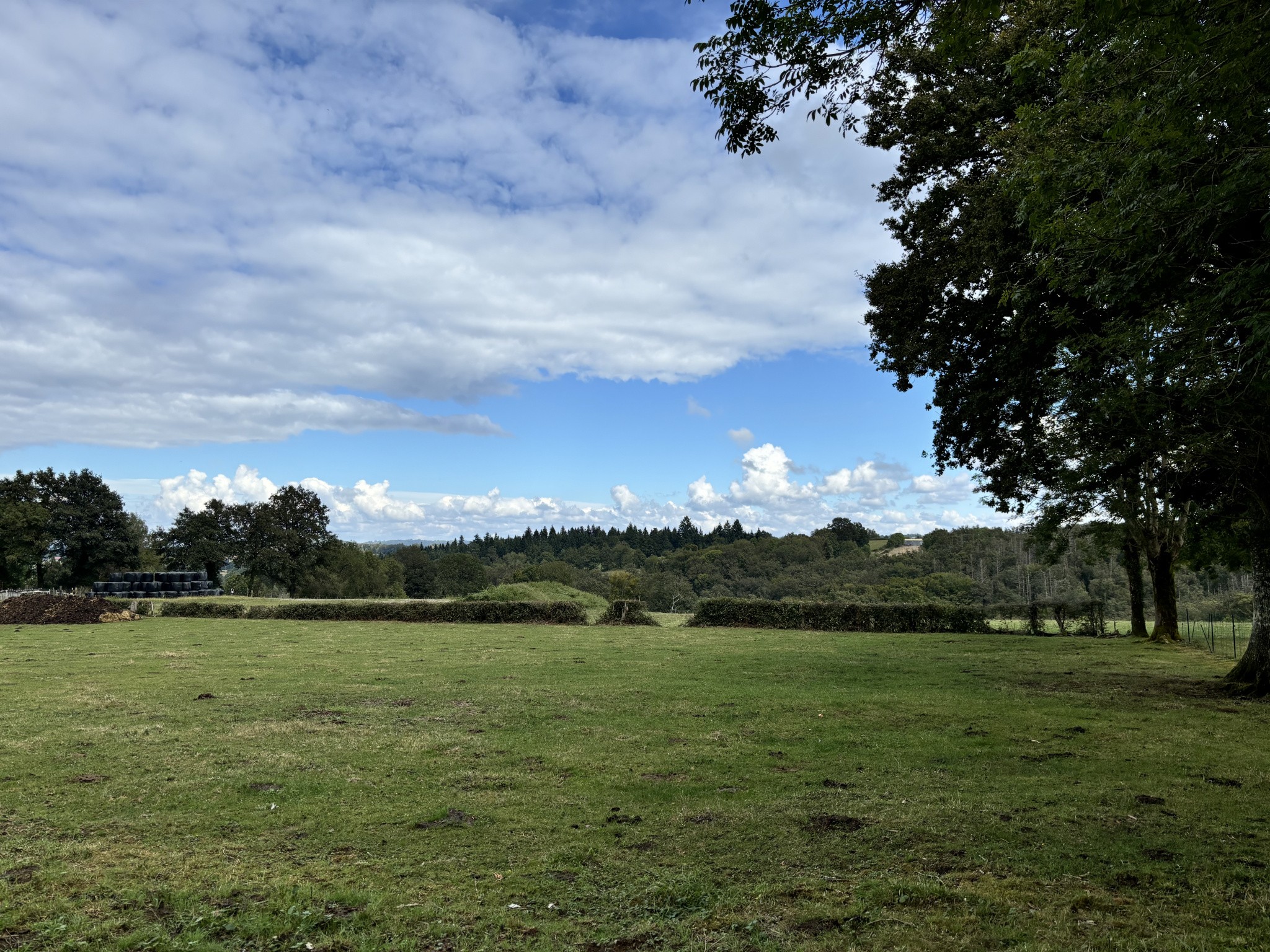 Vente Maison à Chalvignac 7 pièces